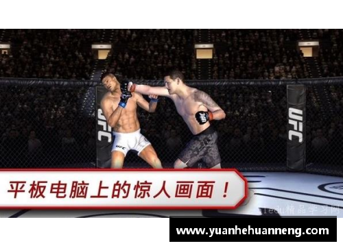 盈彩网UFC球员街头风波：深度探析现代搏击文化与社会影响 - 副本