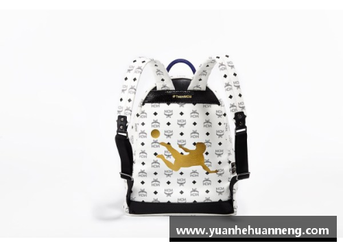 盈彩网足球明星背包品牌排行榜揭秘 向时尚与运动的完美结合迈进 - 副本